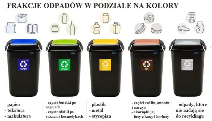 Gdzie wyrzucać styropian po jedzeniu? Sprawdź, jak to zrobić dobrze