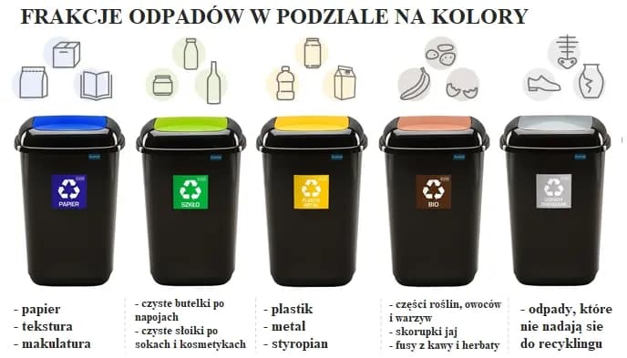 Gdzie wyrzucać styropian po jedzeniu? Sprawdź, jak to zrobić dobrze
